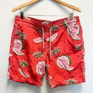 Vilebrequin watermelon palm tree bathing suit